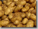 Potatoes,Important-Inca-Food